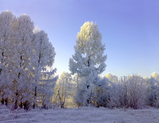 Similar image 1105933