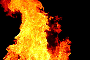 Similar image 1105935