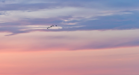 Similar image 1105936