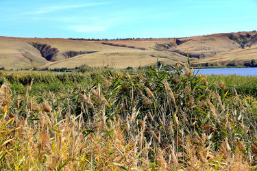 Similar image 1105953