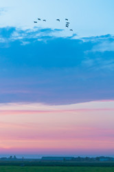 Similar image 1105956