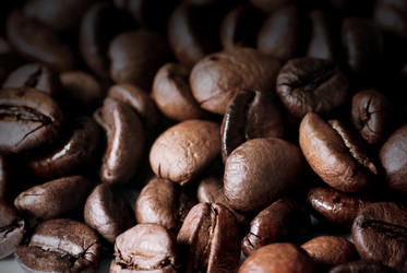 Similar image 1105984