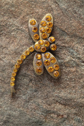 Similar image 1105991