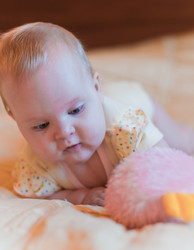 Similar image 1106025