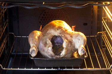 Similar image 1106056