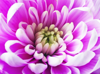 Similar image 1106068