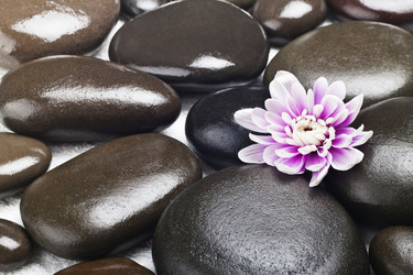 Similar image 1106076