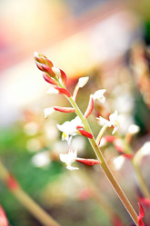 Similar image 1106118