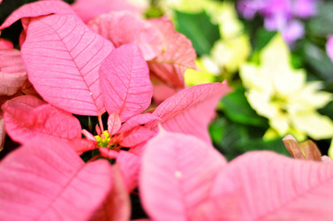 Similar image 1106119