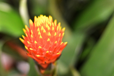 Similar image 1106120