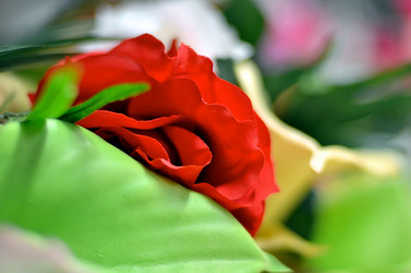 Similar image 1106121