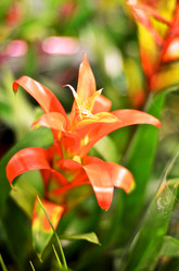 Similar image 1106122