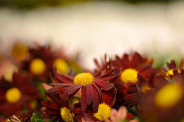 Similar image 1106123