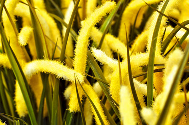 Similar image 1106125