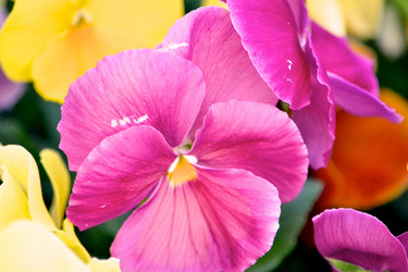 Similar image 1106126