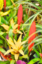 Similar image 1106136