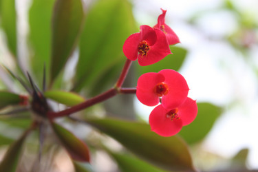 Similar image 1106186