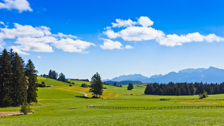 Similar image 1106280