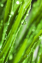 Similar image 1106285