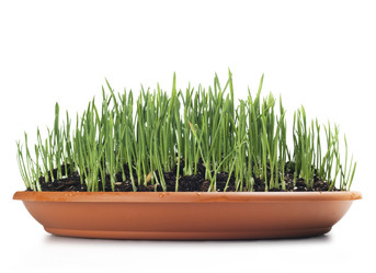 Similar image 1106288