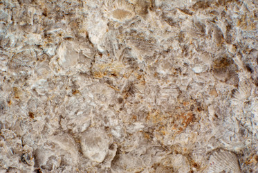 Similar image 1106294