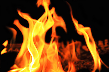 Similar image 1106310