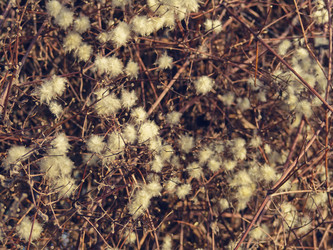 Similar image 1106331