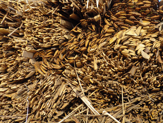 Similar image 1106335