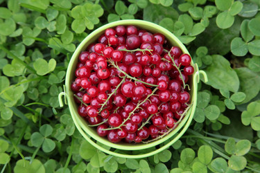 Similar image 1106349