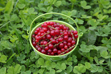 Similar image 1106368