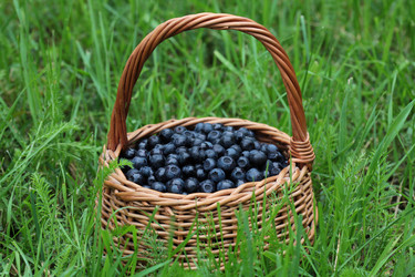 Similar image 1106372