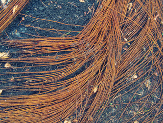 Similar image 1106385