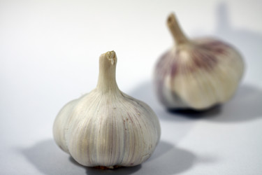 Similar image 1106438