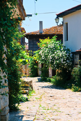 Similar image 1106460