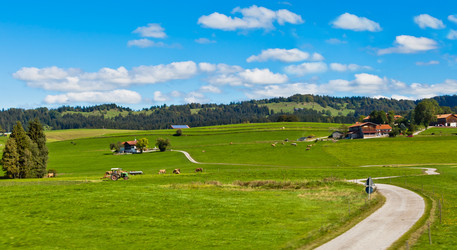 Similar image 1106517