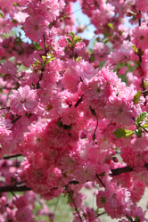 Similar image 1106523