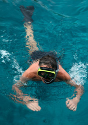 Similar image 1106545