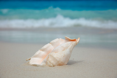 Similar image 1106546