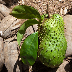 Similar image 1106580