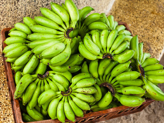 Similar image 1106581