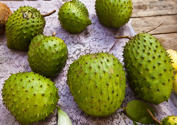 Similar image 1106582