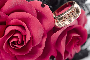 Similar image 1106604