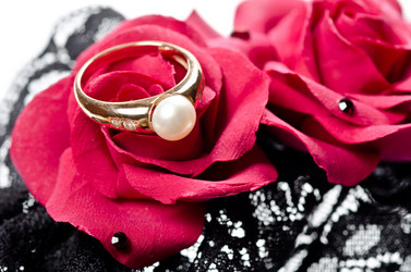 Similar image 1106622