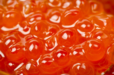 Similar image 1106644