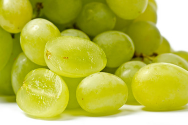 Similar image 1106654