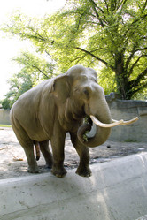 Similar image 1106657