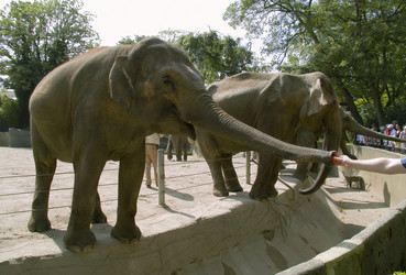 Similar image 1106658