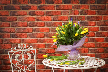 Similar image 1106718