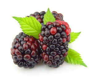 Similar image 1106745