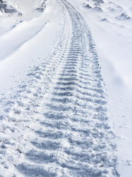 Similar image 1106863